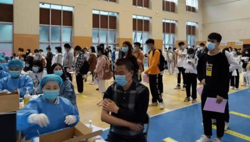 屯昌最新爆料消息视频,视频揭秘惊人真相！  第3张